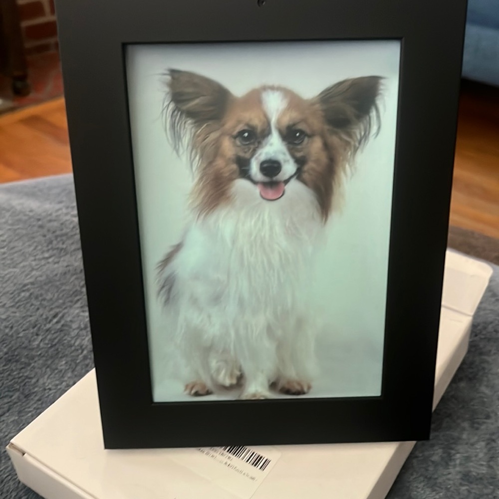 Spy picture frame